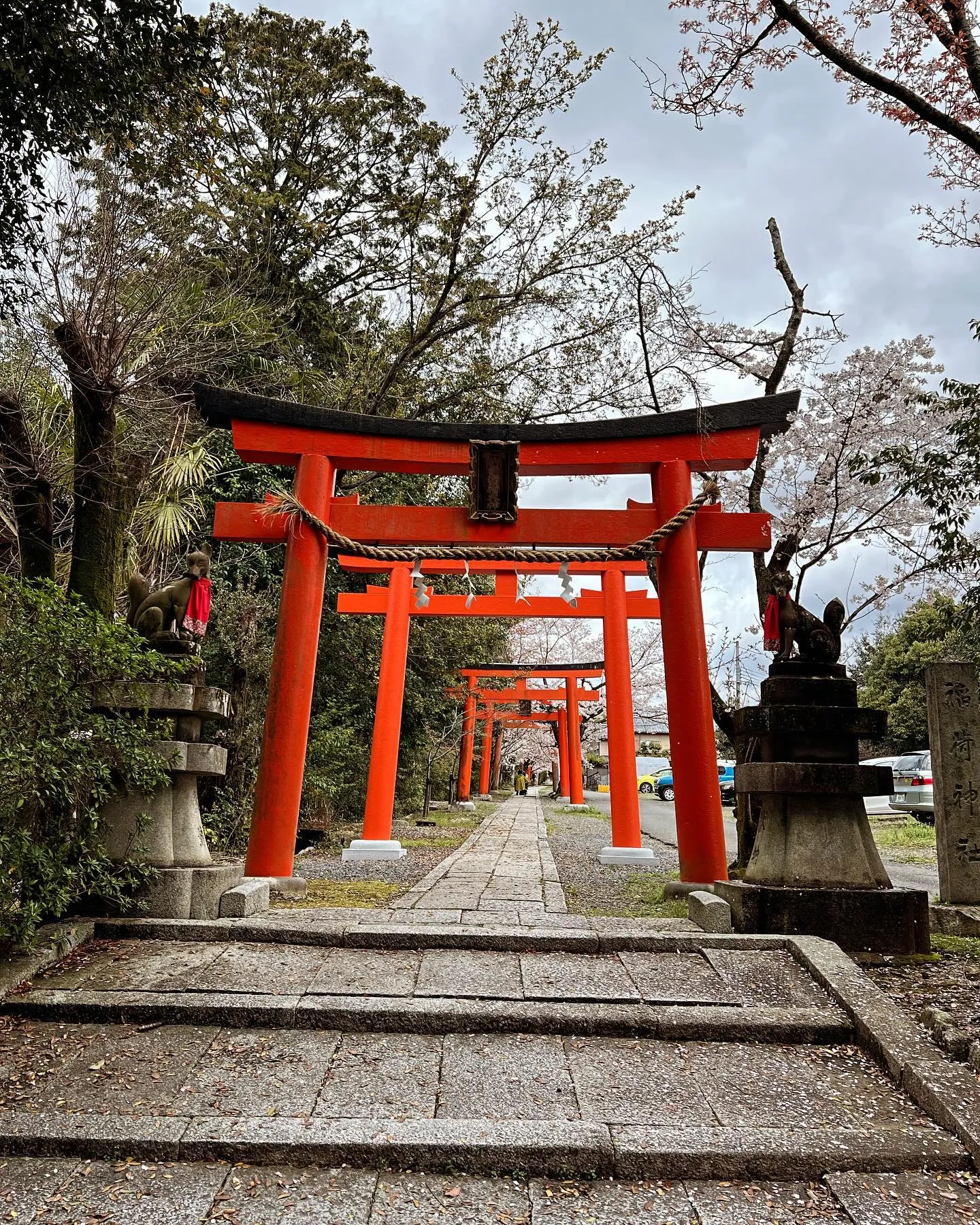 いつもありがとうございます😊