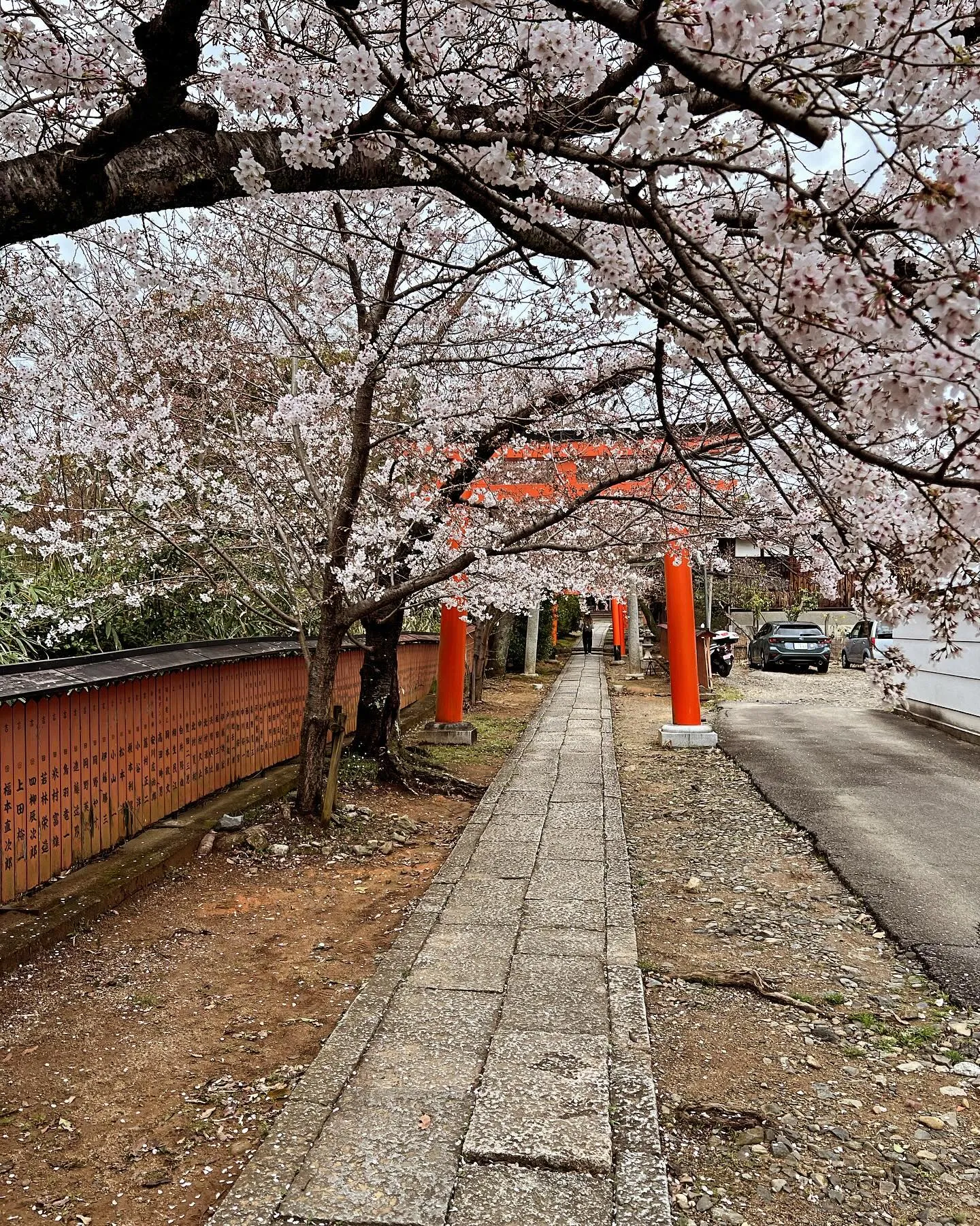 いつもありがとうございます😊