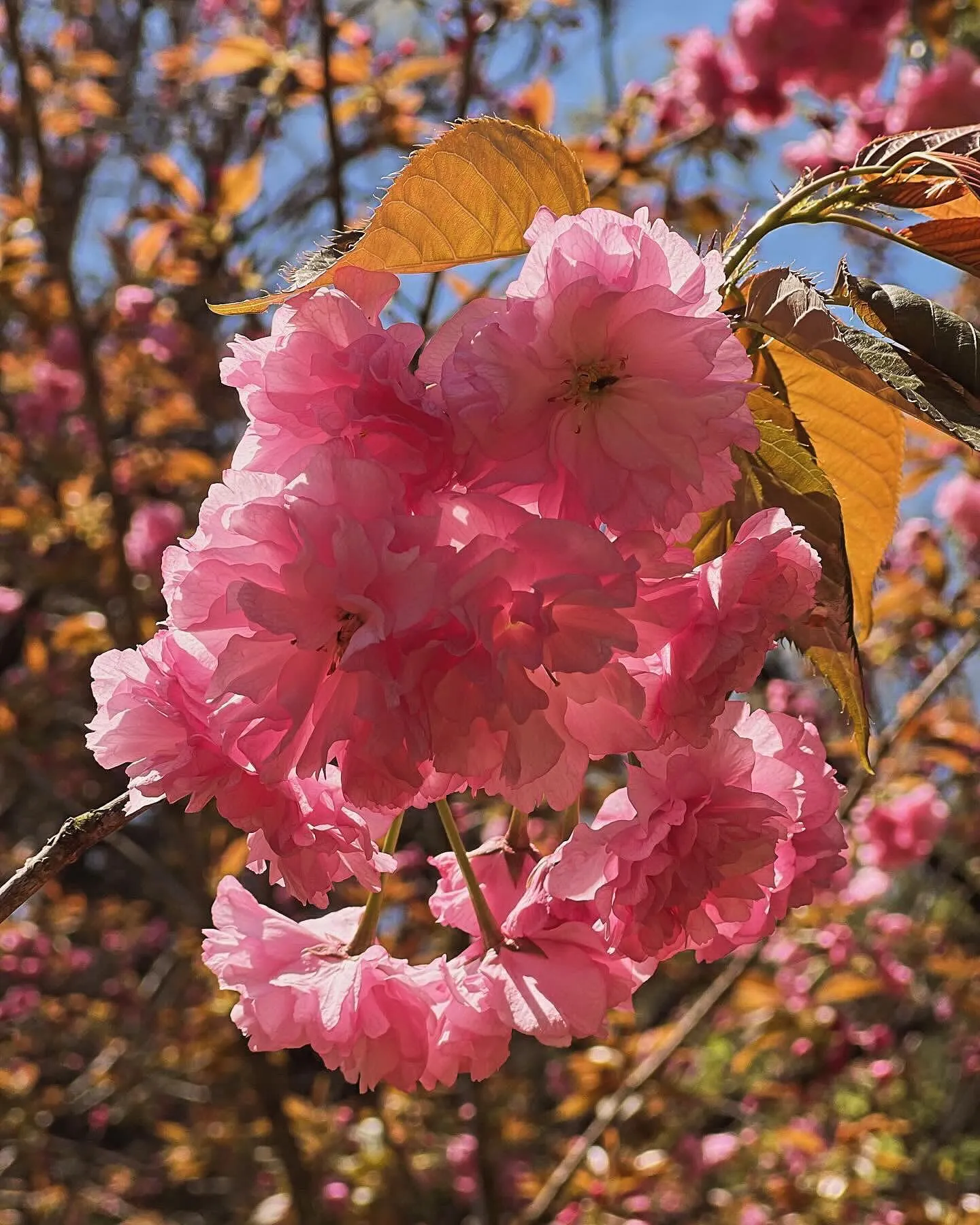 おはようございます☀