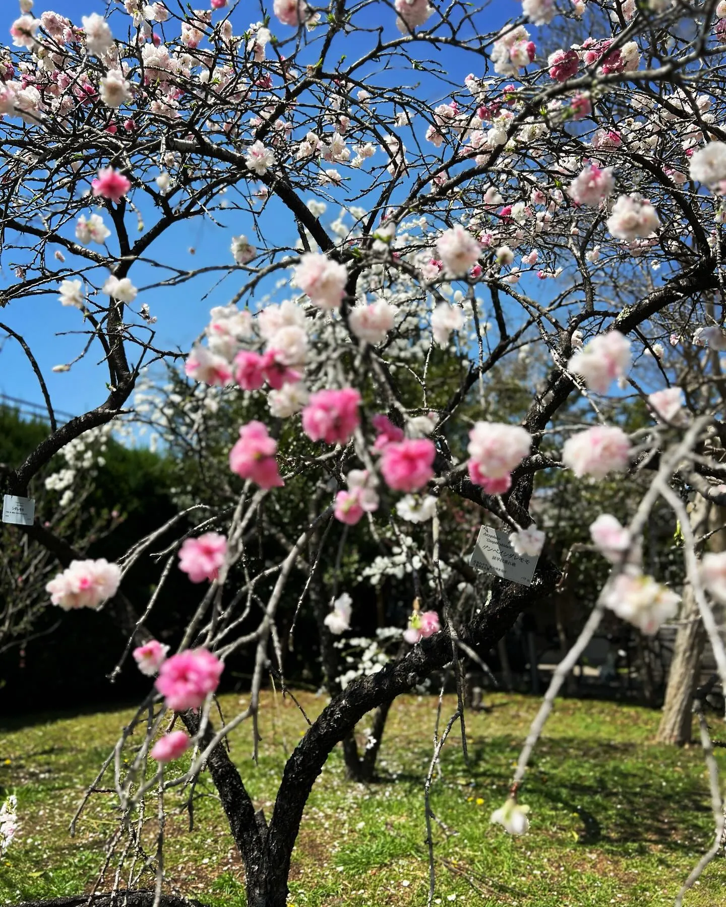 おはようございます😃