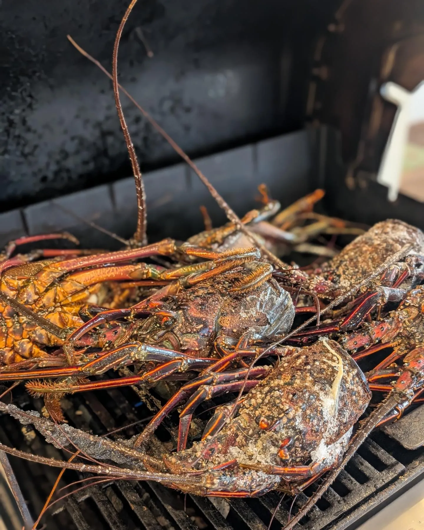 伊勢海老の頭🦐