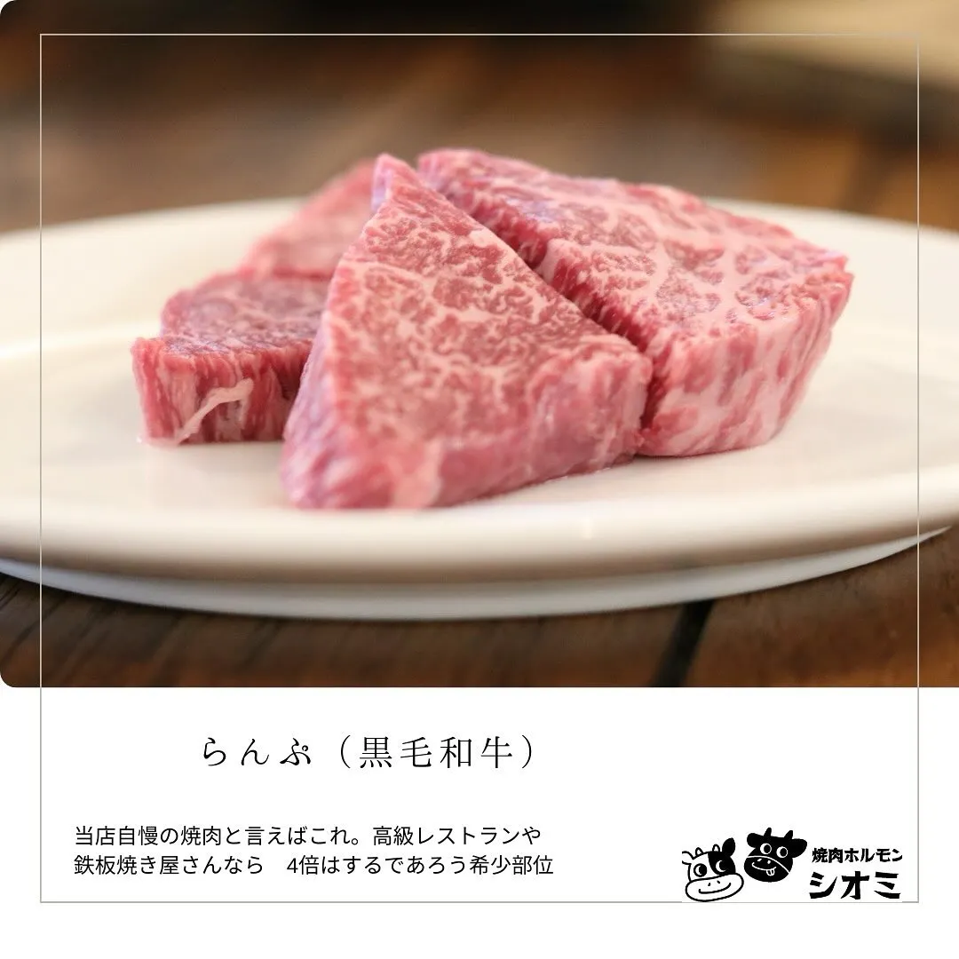 おはようございます！