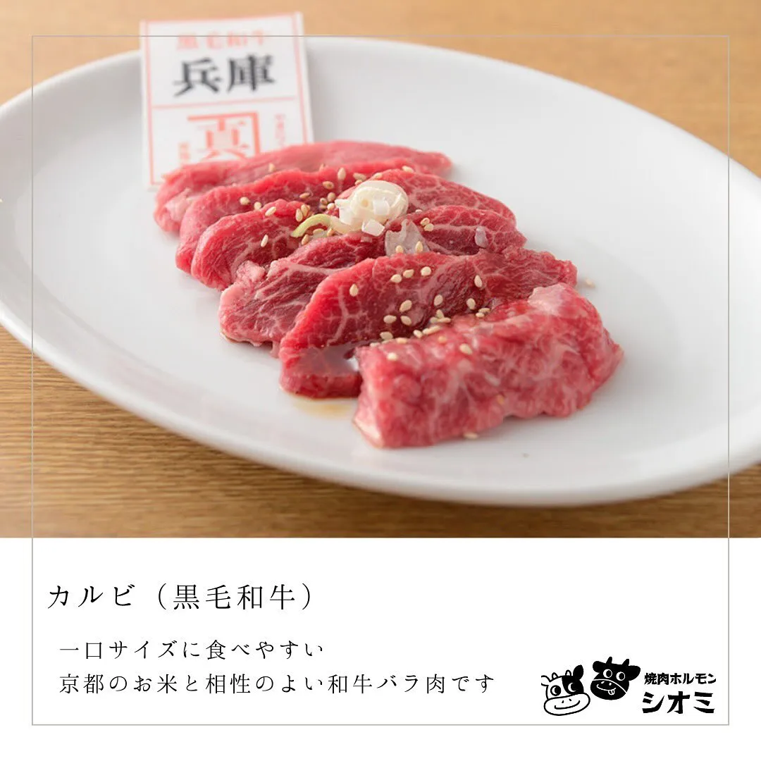 おはようございます！