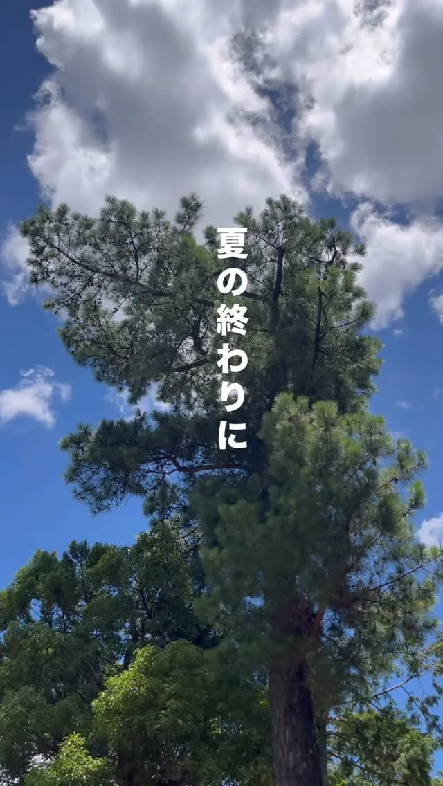 本日も11時オープン。